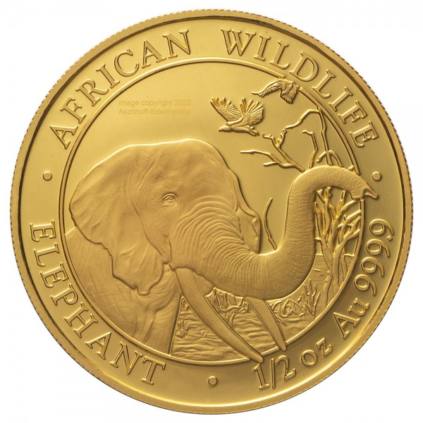 1/2 Unze (oz) Gold Somalia Elefant Goldmünze 2018