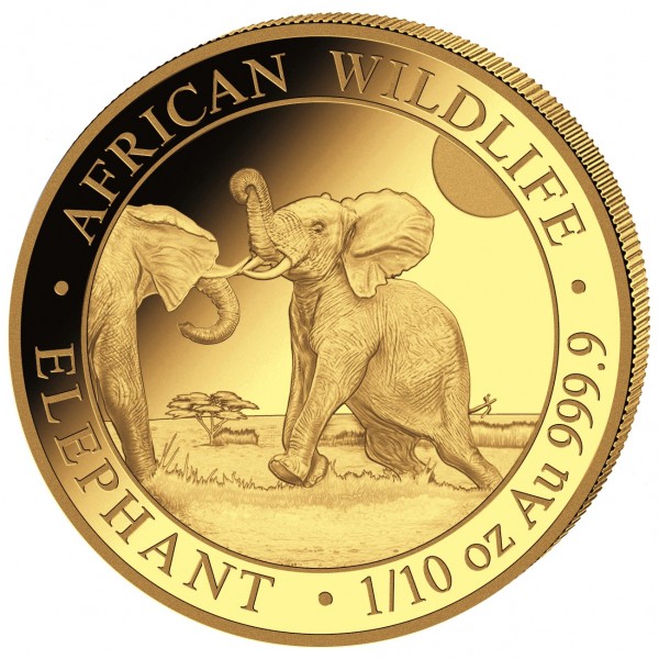 1/10 Unze (oz) Gold Somalia Elefant Goldmünze 2024