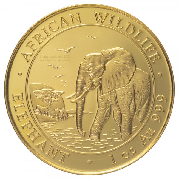 1 Unze (oz) Gold Somalia Elefant Goldmünze 2010