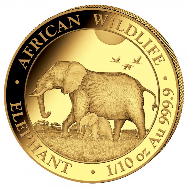 Ankauf 1/10 Unze (oz) Gold Somalia Elefant Goldmünze 2022
