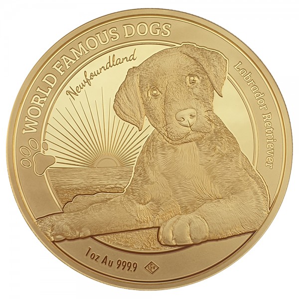 Ankauf 1 Unze (oz) Gold World Famous Dogs Labrador Retriever Goldmünze 2023 Kamerun