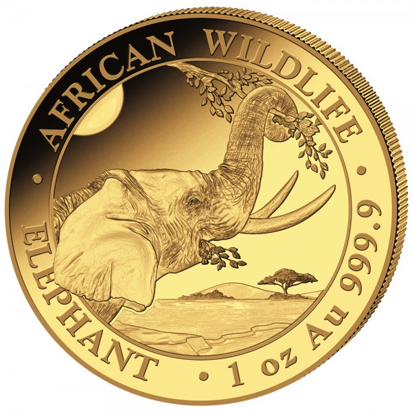Ankauf 1 Unze (oz) Gold Somalia Elefant Goldmünze 2023