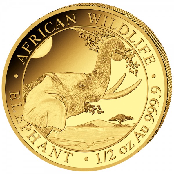 1/2 Unze (oz) Gold  Somalia Elefant Goldmuenze 2023