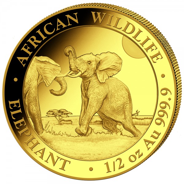 1/2 Unze (oz) Gold Somalia Elefant Goldmuenze 2024