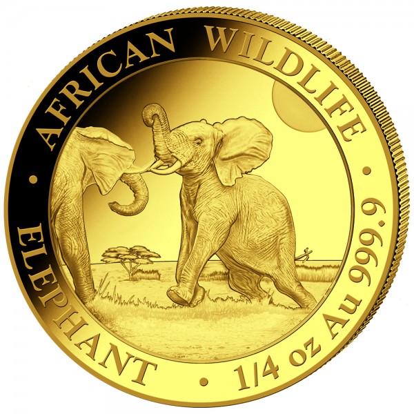 1/4 Unze (oz) Gold Somalia Elefant Goldmünze 2024