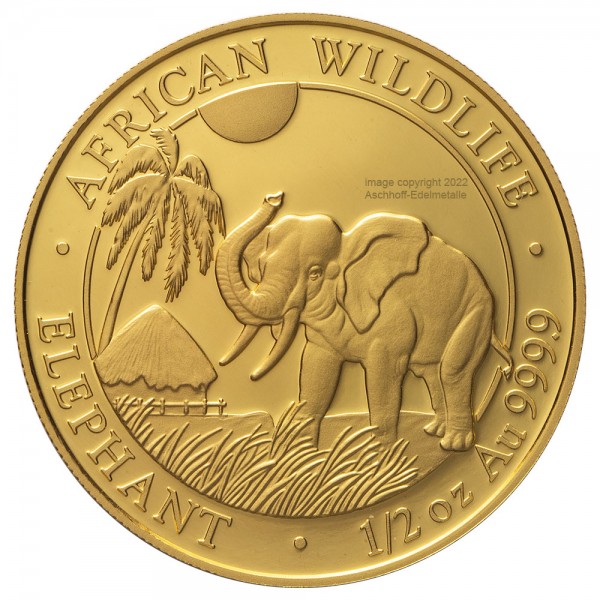 Ankauf 1/2 Unze (oz) Gold Somalia Elefant Goldmünze 2017