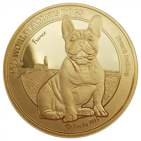 world-famous-dogs-gold-neues-motiv-2023-chihuahua-streng-limitiert