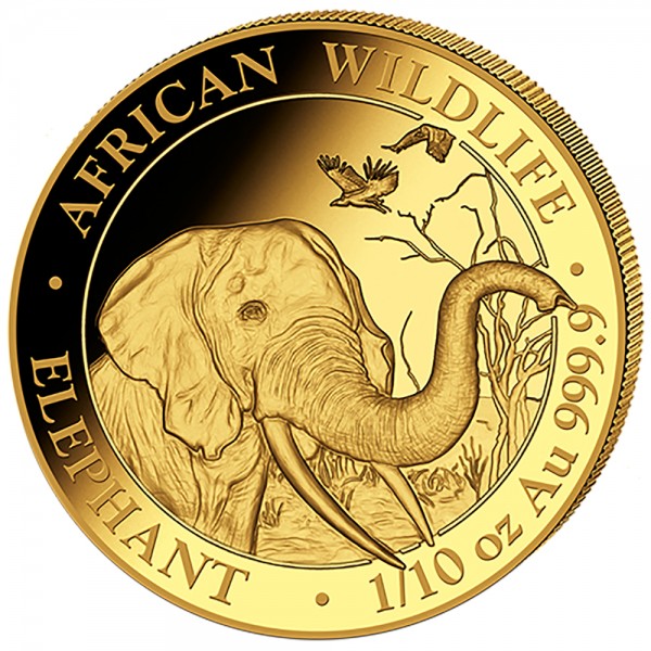 Ankauf 1/10 Unze (oz) Gold Somalia Elefant Goldmünze 2018